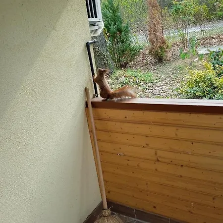 E-major Сasa de vacaciones